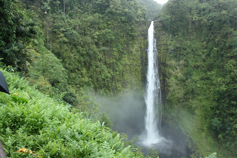 long shot of Akaka Falls, Big Island, Hawaii